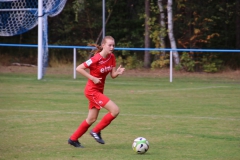 SV Oberreichenbach - VfL Sindelfingen (B2) (06.10.2018)