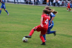 SV Oberreichenbach - VfL Sindelfingen (B2) (06.10.2018)