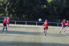 Trainingsauftakt Frauen Saison 2019/2020