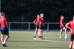 Trainingsauftakt Frauen Saison 2019/2020