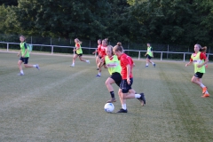 Trainingsauftakt Frauen Saison 2019/2020