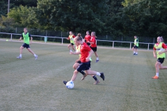 Trainingsauftakt Frauen Saison 2019/2020