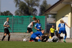 TSG Hoffenheim - VFL Sindelfingen (B1) (04.09.2021)