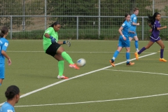 TSV Bernhausen - VfL Sindelfingen (B1) (31.08.2023)