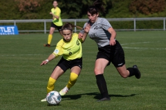 TSV Crailsheim - VFL Sindelfingen (B1) (09.10.2021)