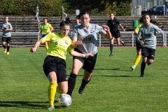 TSV Crailsheim - VFL Sindelfingen (B1) (09.10.2021)