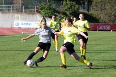 TSV Crailsheim - VFL Sindelfingen (B1) (09.10.2021)