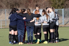 TSV Frommern - VFL Sindelfingen (B1) (29.01.2022)