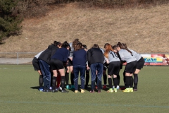 TSV Frommern - VFL Sindelfingen (B1) (29.01.2022)