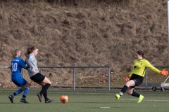 TSV Frommern - VFL Sindelfingen (B1) (29.01.2022)