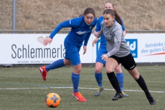 TSV Frommern - VFL Sindelfingen (B1) (29.01.2022)