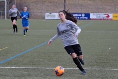 TSV Frommern - VFL Sindelfingen (B1) (29.01.2022)