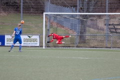 TSV Frommern - VFL Sindelfingen (B1) (29.01.2022)