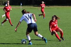 TSV Lustnau - VfL Sindelfingen (F1) (10.10.2021)