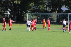 TSV Lustnau - VfL Sindelfingen (F1) (10.10.2021)