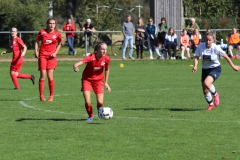 TSV Lustnau - VfL Sindelfingen (F1) (10.10.2021)