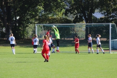 TSV Lustnau - VfL Sindelfingen (F1) (10.10.2021)