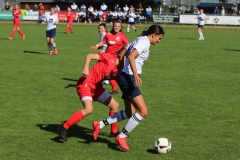 TSV Lustnau - VfL Sindelfingen (F1) (10.10.2021)