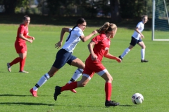 TSV Lustnau - VfL Sindelfingen (F1) (10.10.2021)