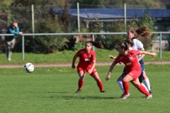 TSV Lustnau - VfL Sindelfingen (F1) (10.10.2021)