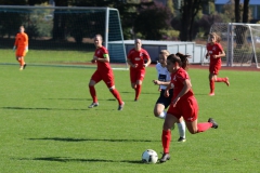 TSV Lustnau - VfL Sindelfingen (F1) (10.10.2021)