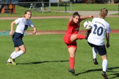 TSV Lustnau - VfL Sindelfingen (F1) (10.10.2021)