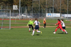 TSV Lustnau - VfL Sindelfingen (F1) (10.10.2021)