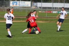 TSV Lustnau - VfL Sindelfingen (F1) (10.10.2021)