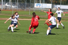 TSV Lustnau - VfL Sindelfingen (F1) (10.10.2021)