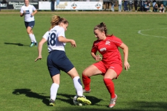 TSV Lustnau - VfL Sindelfingen (F1) (10.10.2021)