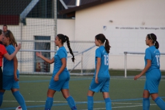 TSV Münchingen - VfL Sindelfingen (B1) (09.10.2018)