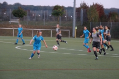 TSV Münchingen - VfL Sindelfingen (B1) (09.10.2018)