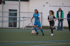 TSV Münchingen - VfL Sindelfingen (B1) (09.10.2018)