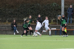 TSV Sondelfingen - VfL Sindelfingen Ladies (F1) (04.02.2024)