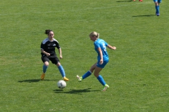 TSV Wendlingen - VFL Sindelfingen Ladies (B1) (24.07.2022)