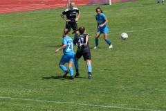 TSV Wendlingen - VFL Sindelfingen Ladies (B1) (24.07.2022)