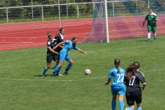 TSV Wendlingen - VFL Sindelfingen Ladies (B1) (24.07.2022)