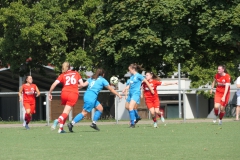 TSVgg Plattenhardt - VfL Sindelfingen (F) (20.08.2023)