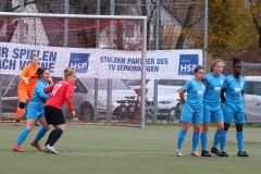 TV Derendingen- VFL Sindelfingen (F1) (2021-11-07)