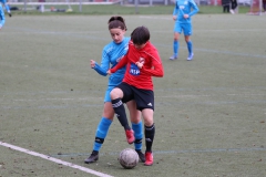 TV Derendingen- VFL Sindelfingen (F1) (2021-11-07)