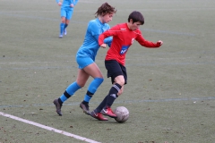 TV Derendingen- VFL Sindelfingen (F1) (2021-11-07)
