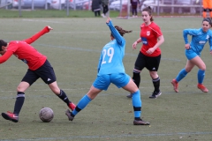 TV Derendingen- VFL Sindelfingen (F1) (2021-11-07)