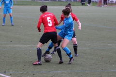 TV Derendingen- VFL Sindelfingen (F1) (2021-11-07)