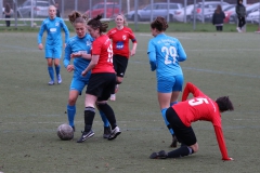 TV Derendingen- VFL Sindelfingen (F1) (2021-11-07)