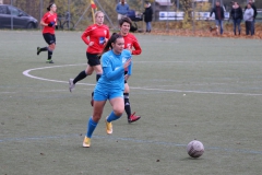 TV Derendingen- VFL Sindelfingen (F1) (2021-11-07)