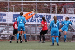 TV Derendingen- VFL Sindelfingen (F1) (2021-11-07)