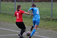 TV Derendingen- VFL Sindelfingen (F1) (2021-11-07)