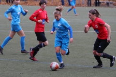 TV Derendingen- VFL Sindelfingen (F1) (2021-11-07)