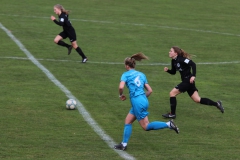 VfL Sindelfingen (B1) - Eintracht Frankfurt U17 (16.03.2019)