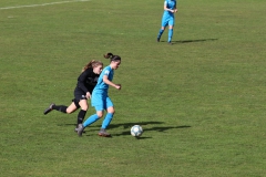 VfL Sindelfingen (B1) - Eintracht Frankfurt U17 (16.03.2019)